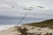 Pelicans Flying Over a Grounded Sailboat - Florida