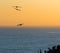 Pelicans flying over the Pacific Ocean at dusk