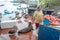 Pelicans and a Galapagos Sea Lion Beg for food at the Santa Cruz Fish Market