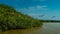 Pelicans and gulls in the mangroves in Celestun National Park. Mexico