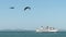 Pelicans over the Pacific Ocean flying by Alcatraz Island with an Alcatraz tour boat in the background