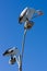 Pelicans perched on a lamppost