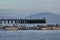 Pelicans Perched Santa Barbara Stearns Wharf