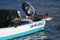 Pelicans posing on a small fishing boat