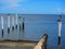 Pelicans and sea birds standing on piers