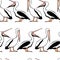 Pelicans seamless pattern