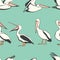 Pelicans seamless pattern