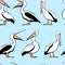 Pelicans seamless pattern