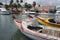 Pelicans on a small fishing boat at Oranjestad Harbor, Aruba