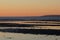 Pelicans at sunset in the bay of the San Ignacio Lagoon, Baja California, Mexico