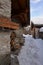 Pellaud alpine village in winter, Rhemes valley, Aosta, Italy