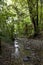 Pelorus Bridge Scenic Reserve in New Zealand