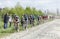 The Peloton on a Cobblestoned Road