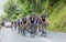 The Peloton on Col du Tourmalet - Tour de France 2014