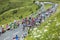 The Peloton Gruppetto Approaching on Col de Peyresourde - Tour