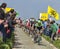 The Peloton- Paris Roubaix 2014