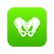 Pelvis icon digital green