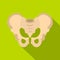 Pelvis icon, flat style