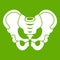 Pelvis icon green