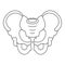 Pelvis icon, outline style