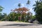 PEMBA, TANZANIA - JANUARY 2020: Red Blooming Flamboyant tree near road with Black African People are Moving by. Red