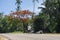 PEMBA, TANZANIA - JANUARY 2020: Red Blooming Flamboyant tree near road with Black African People are Moving by. Red