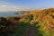 Pembroke Coastal Path and the wild Pembroke Coast Line with sun glowing on yellow gorse bushes