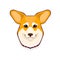 Pembroke Welsh Corgi