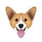 Pembroke Welsh Corgi dog head in pixel art style.