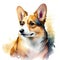 Pembroke Welsh Corgi Pembroke stands in the middle of a burning forest AI Generated