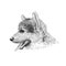 The Pembroke Welsh Corgi Tricolor puppy, a cattle herding dog breed. Pet portrait, closeup sketch. Vector illustration