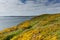 Pembrokeshire coast Newgale and Rickets Head St Bride\'s Bay Wales