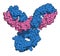Pembrolizumab monoclonal antibody drug protein. Immune checkpoint inhibitor targetting PD-1, used in the treatment of a number of.