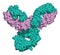 Pembrolizumab monoclonal antibody drug protein. Immune checkpoint inhibitor targetting PD-1, used in the treatment of a number of.