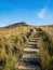 Pen-y-ghent mountain with path