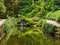 The Pena Park is a vast forested area completely surrounding the Pena Palace