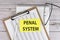 PENAL SYSTEM text on yellow sticky on clipboard with chart, wooden background