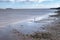 PENARTH, VALE OF GLAMORGAN/WALES - MARCH 23 : View of the sandy