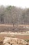 Pench river bed in pench tiger reserve