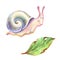 Pencil drawind smiling colorful snail and a leaky leaf