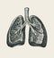 Pencil drawing of human lungs in retro style