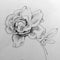 Pencil drawing textured abstract background handmade . Floral pattern .Single rose flower in the garden .