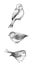 Pencil Drawings of Three Cute Birds