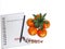 Pencil and wooden doll on notebook with orange in the form of tree and oranges carved symbol â€œI Love Youâ€ on white background