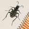 Pencils and carnivorous beetle