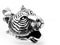 Pendant Head Tiger - Stainless Steel - Jewelry