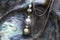Pendant With Tahitian Black, Tahitian White And Gold South Sea Pearl On Mother of Pearl Shell