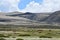 PendAsian donkeys Equus hemionus graze on the shore of lake Manasarovar in Tibet