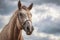 Penetrating horse\\\'s gaze against cloudy sky, framed by wild mane