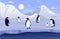 Penguin animals, antarctic cold landscape. Family in ice winter, cube of snow. polar Antarctic characters, wildlife